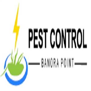 Pest Control Banora Point