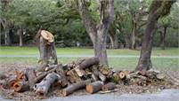 Jerry's Tree Service Jerry's Tree  Service